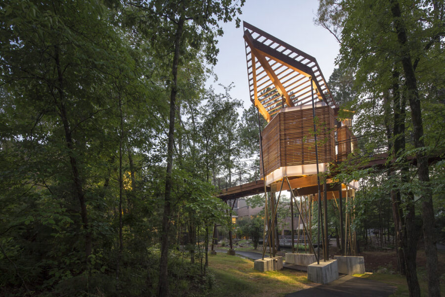 Rear view of tree house along the Science Skywalk design by WDD Architects at Mid America Museum.