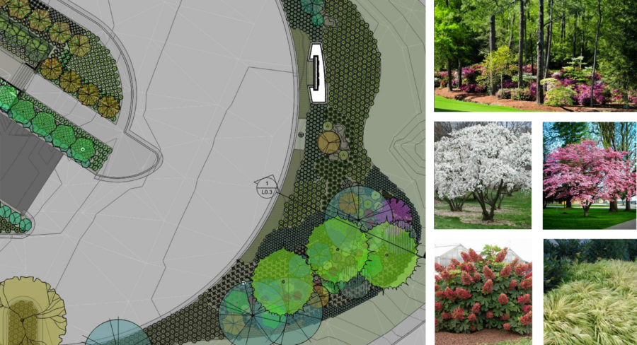 Landscape architecture plan for Stone Bank Headquarters in Little Rock, Arkansas, showing proposed native woodland plantings, flowering trees, shrubs and ornamental grasses.